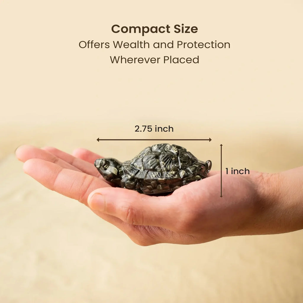 Sidh-Shakti Pyrite Tortoise - Kachhua & Raw Selenite Plate