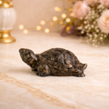 Sidh-Shakti Pyrite Tortoise - Kachhua & Raw Selenite Plate