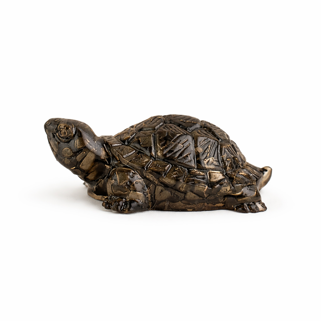 Sidh-Shakti Pyrite Tortoise - Kachhua & Raw Selenite Plate