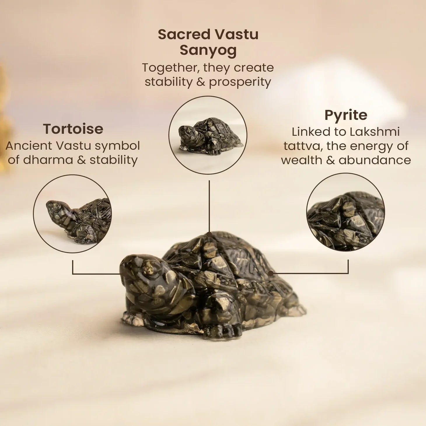 Sidh-Shakti Pyrite Tortoise - Kachhua & Raw Selenite Plate