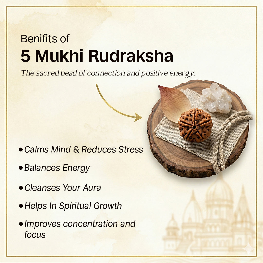 ॐ Rudraksha Pure Silver Bracelet