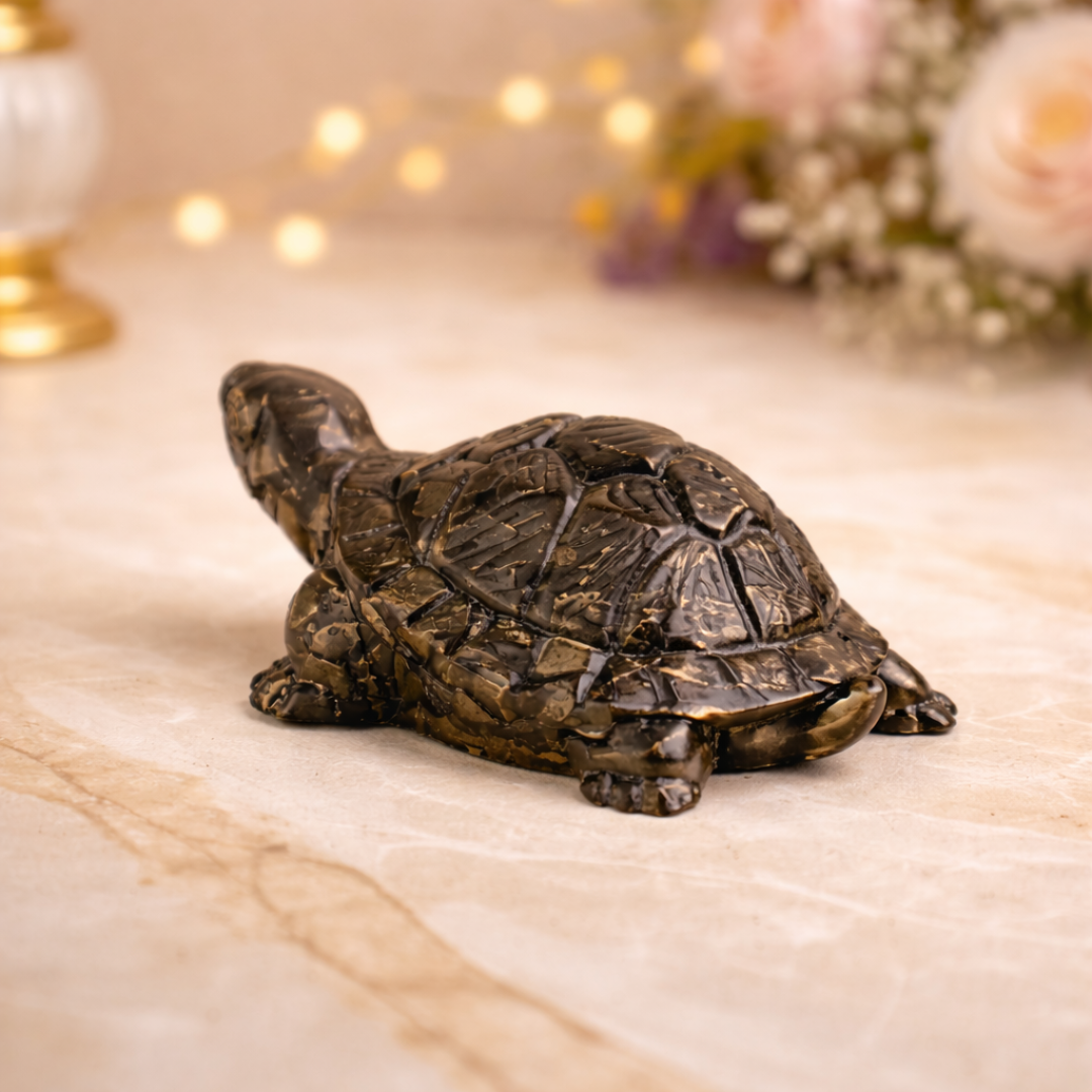 Sidh-Shakti Pyrite Tortoise - Kachhua & Raw Selenite Plate
